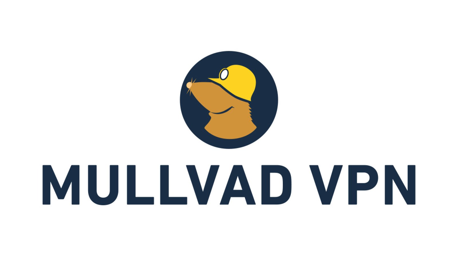Ảnh chụp màn hình logo của Mullvad VPN.