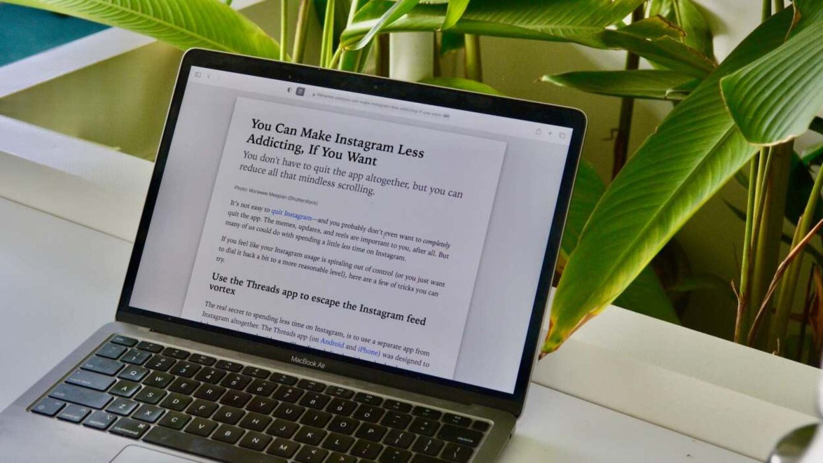 Một chiếc MacBook trên bàn được bao quanh bởi những chậu cây.  Màn hình MacBook hiển thị chế độ Reader đang mở trong Safari, trên bài viết có tiêu đề "Cách làm cho Instagram bớt gây nghiện hơn"