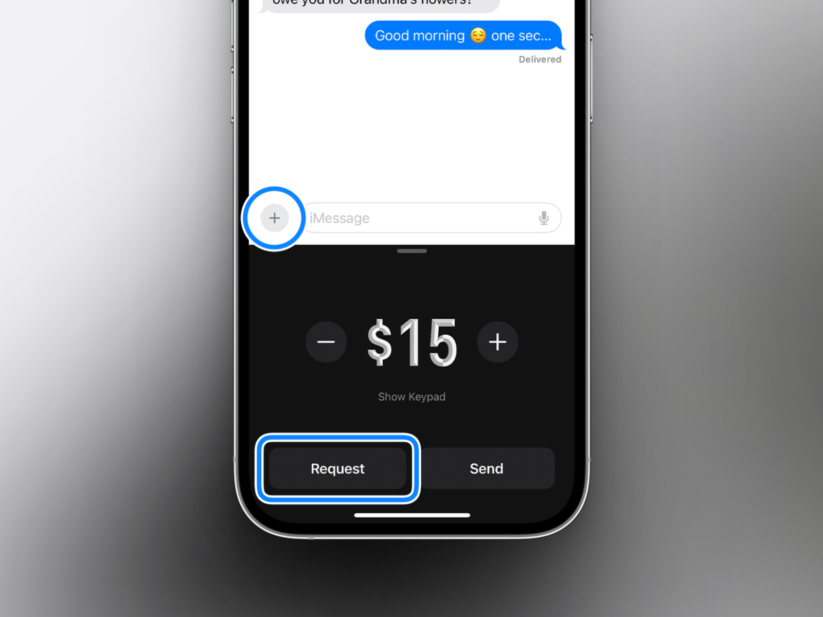 Yêu cầu thanh toán bằng Apple Cash trên iPhone.